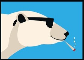Cool Bear Logo